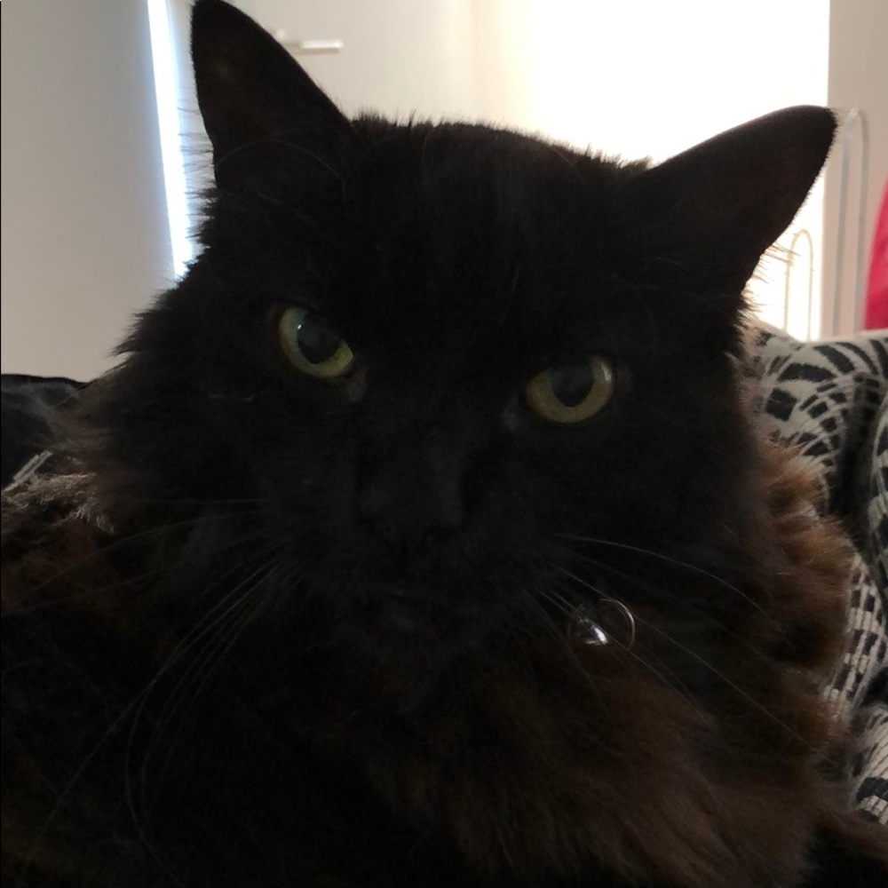 Meet your Posher, John